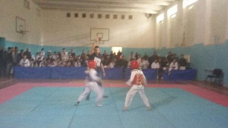 Taekvondo klubları arasında yoldaşlıq görüşü keçirildi