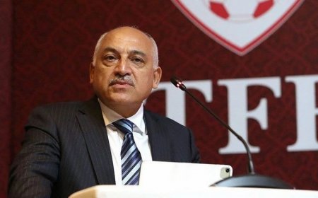 Türkiyə klubları federasiya prezidentinin istefasını tələb edirlər