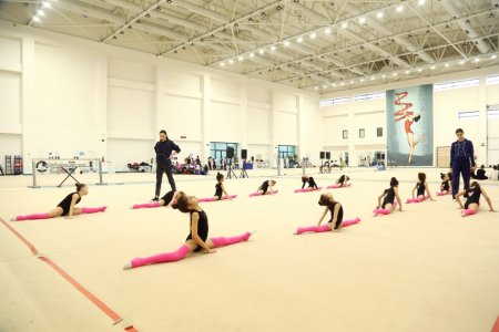 Şağan və Hövsan gimnastları Milli Gimnastika Arenasında təlim-məşq toplanışına başlayıblar