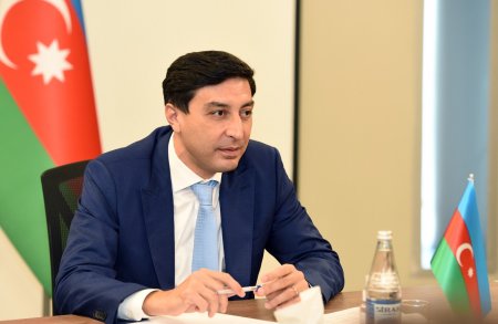 Fərid Qayıbova yeni səlahiyyət verildi Fərid Qayıbova yeni səlahiyyət verildi